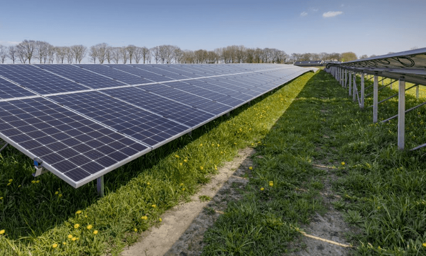 Solaranlagen für Freiflächen